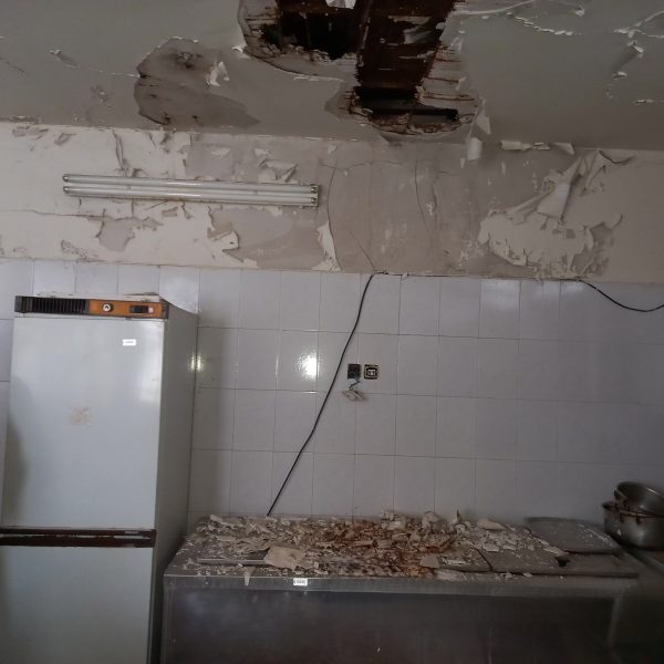 20250420 111002 600x600